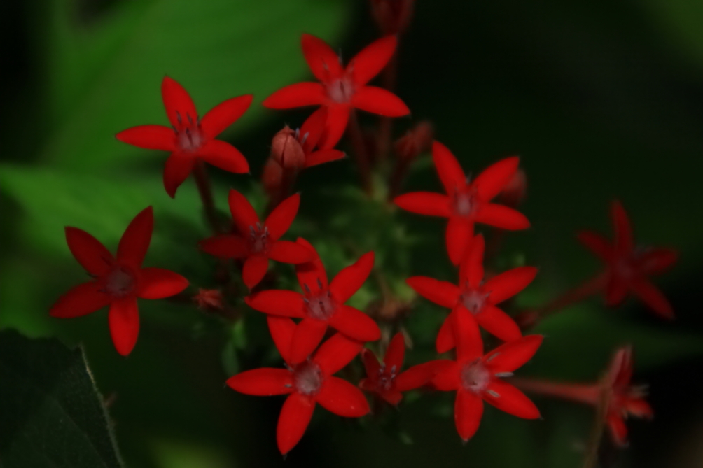 2010 08 14 IMG 05104
